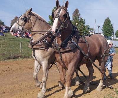 Fair 29Sep12 686.jpg